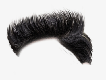200 Hair Zip File Download - Boy Hair Style Png, Transparent Png - kindpng
