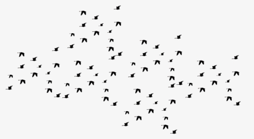 Flying Black Birds - Birds Flying Silhouette Png, Transparent Png, Free Download