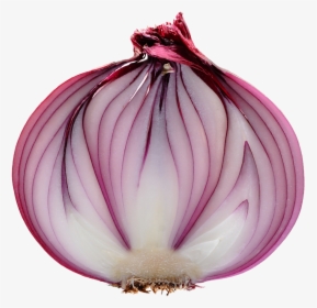 Transparent Red Onion Png, Png Download, Free Download