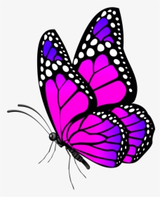 Free Desktop Wallpaper Butterflies Flowers, HD Png Download, Free Download