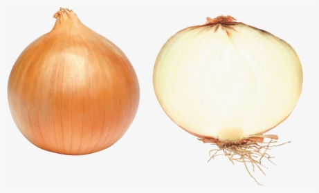 Yellow Onion Png, Transparent Png, Free Download