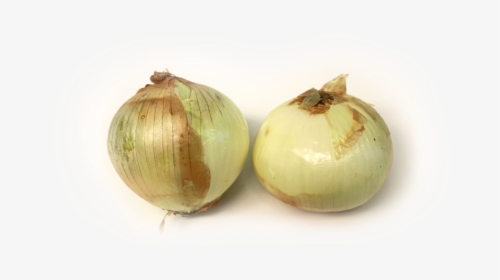 Transparent Onion Slice Png - Onion Vegetable Or Fruit, Png Download, Free Download