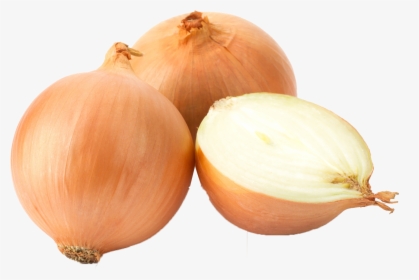 White Onion Yellow Onion Garlic Red Onion Scallion - Onion Png, Transparent Png, Free Download