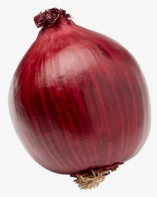 Red Onion,onion,yellow Family,produce - Onion Png, Transparent Png, Free Download