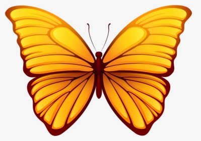 Butterfly Png Clipart , Png Download - Transparent Background Butterfly Png, Png Download, Free Download