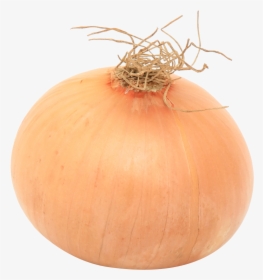 Onion - Onion Png, Transparent Png, Free Download