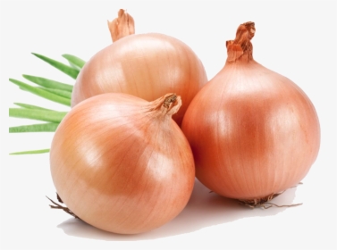 Onion Png File - Onion Images Hd Png, Transparent Png, Free Download