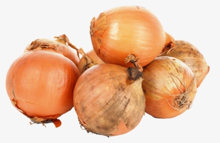 Onion Png Transparent Images - Vegetable Onion Download, Png Download, Free Download