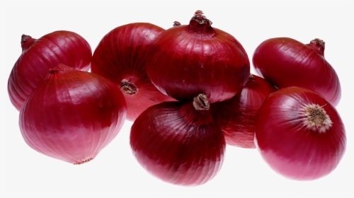 Onion Png, Transparent Png, Free Download