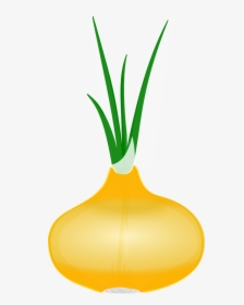 Free Onion Clip Art - Onion Clip Art, HD Png Download, Free Download