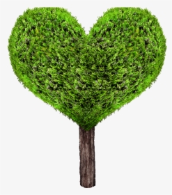 Green Heart Tree Png - Heart Tree Png, Transparent Png, Free Download