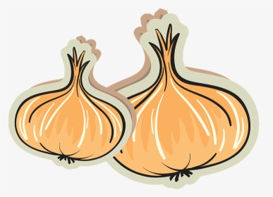 Transparent Onion Slice Png - Garlic, Png Download, Free Download