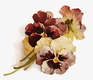 Autumn"s Crowning Glory ~ Png File, Pansies Decoupage - Vintage Brown Flowers Png, Transparent Png, Free Download