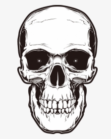 Transparent Background Skull Clipart, HD Png Download, Free Download