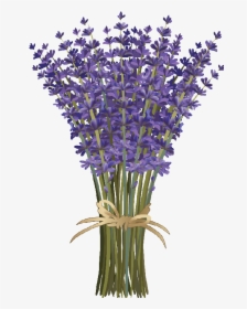 Lavender Clipart, HD Png Download, Free Download