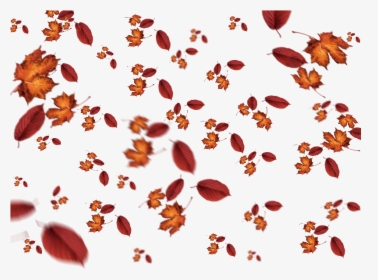 Falling Leaves Autumn Texture Overlay - Fall Leaves Overlay Png, Transparent Png, Free Download