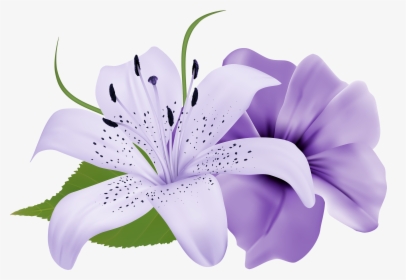 White And Purple Flowers Clipart, HD Png Download, Free Download