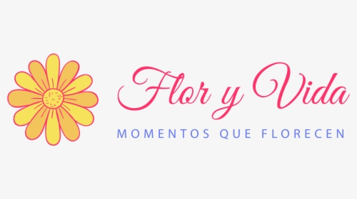 Floristerías En Cali - 1st Birthday, HD Png Download, Free Download