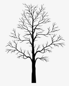Collection Of Free Tree Drawing Heart Download On Ui, HD Png Download, Free Download