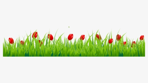 Clipart Borders Tulip - Grass With Flowers Png, Transparent Png, Free Download