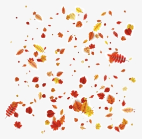 Petal Floral Design Orange Pattern - Autumn Leaves Falling Vector, HD Png Download, Free Download