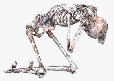 Skeleton Pose Skull Free Picture - Skeleton Lying Down Drawing, HD Png Download, Free Download