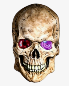 Transparent Scull Png - Skulls Masks, Png Download, Free Download