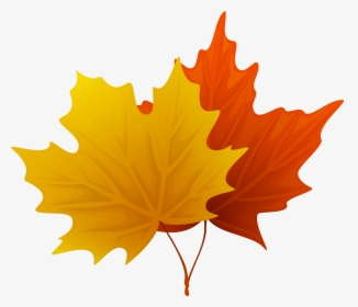 Fall Maple Leaves Png Decorative Clipart Imageu200b - Maple Leaf Clipart Png, Transparent Png, Free Download