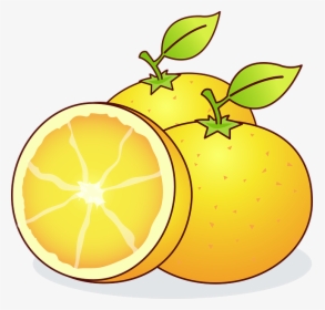 Clip Art Citrus Fruit, HD Png Download, Free Download