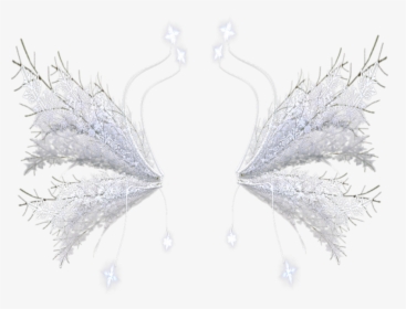 Transparent Angel Wings - Snow Fairy Wings Transparent, HD Png Download, Free Download