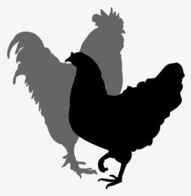 Egg Clipart Silhouette - Rooster And Hen Silhouette, HD Png Download, Free Download