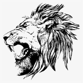Lion Drawing - Lion Face Side View Drawing, HD Png Download, Free Download