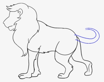 How To Draw Lion - Lion Picture For Drawing, HD Png Download, Free Download