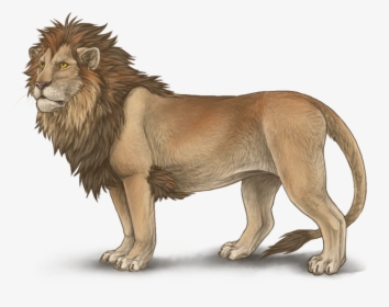 Lioden Male Lion, HD Png Download, Free Download