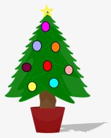 Christmas Tree Not Decorated, HD Png Download, Free Download