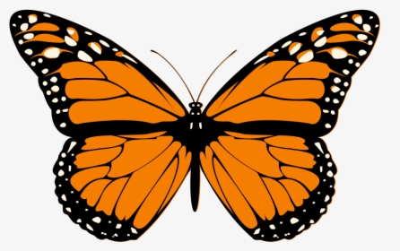 Orange Butterfly Clip Art, HD Png Download, Free Download