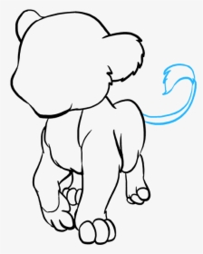 How To Draw Baby Lion - Draw A Baby Lion Step, HD Png Download, Free Download