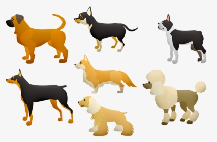 Dogs - Dogs Body Language, HD Png Download, Free Download