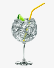 Transparent Gin Glass Png, Png Download, Free Download