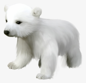 Cute Polar Bear Transparent, HD Png Download, Free Download