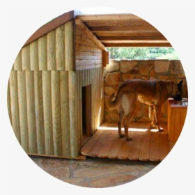 Dog House Warming, HD Png Download, Free Download