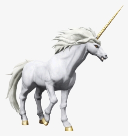 Unicorn, HD Png Download, Free Download