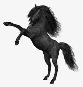 Mustang Horse Png Photos - Mustang Horse Png, Transparent Png, Free Download