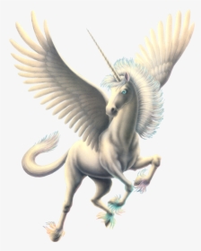 Flying Horse Png Photo - Transparent Pegasus Png, Png Download, Free Download