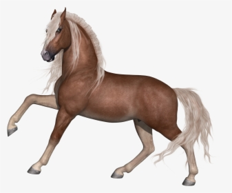 Animal Farm Horse, HD Png Download, Free Download
