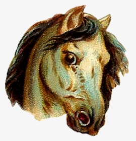 Horse Illustration Vintage - Vintage Horse Clipart, HD Png Download, Free Download