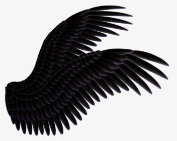 Realistic Black Wings Png, Transparent Png, Free Download