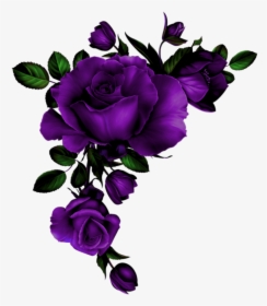 Rose Coin Mauve - Watercolor Red Roses Transparent Background, HD Png Download, Free Download