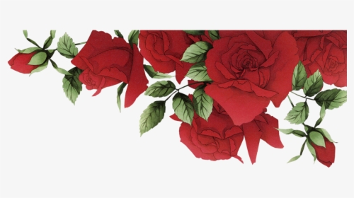 Garden Roses Beach Rose Red Flower - Red Roses Border Png, Transparent Png, Free Download