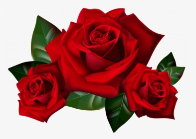 Rose Cliparts Transparent Background - Red Roses Clip Art, HD Png Download, Free Download